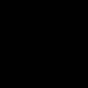 Meet your Posher, Van